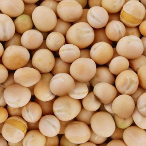 White Pea - Cultivation Type: Organic