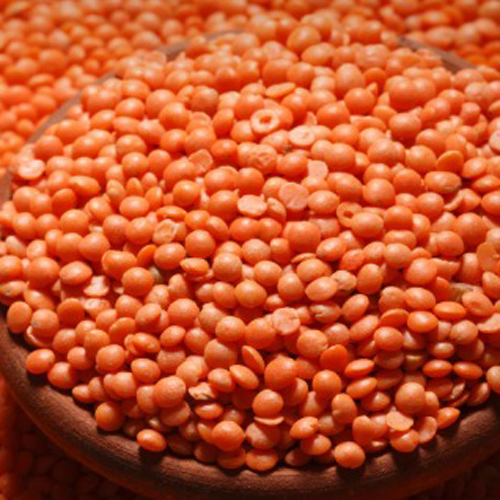 Masoor Dal - Moisture (%): Nil