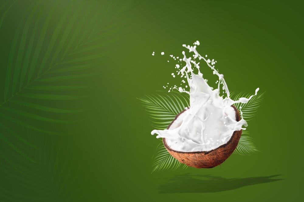 Coconut Milk 400 Ml Pack - Color: White