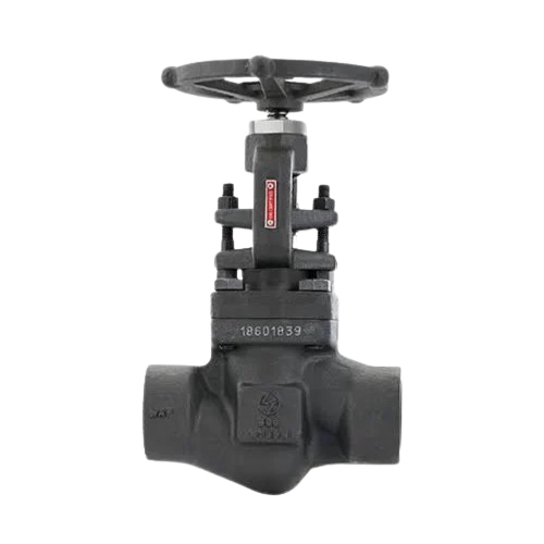 Forged Steel Globe Valves - Port Size: 1 Inch