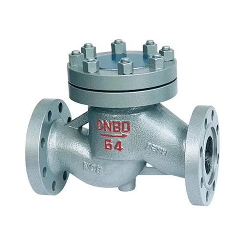 Piston Check Valve - Port Size: 6 Inch