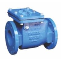 Non Return Reflux Valve - Material: Cast Iron