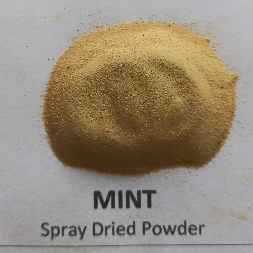 Mint Leaves Powder - Powder Form, Shelf Life: 12 Months | Soluble In Water, Ideal For Beverages, Bakery Products, And Jellies