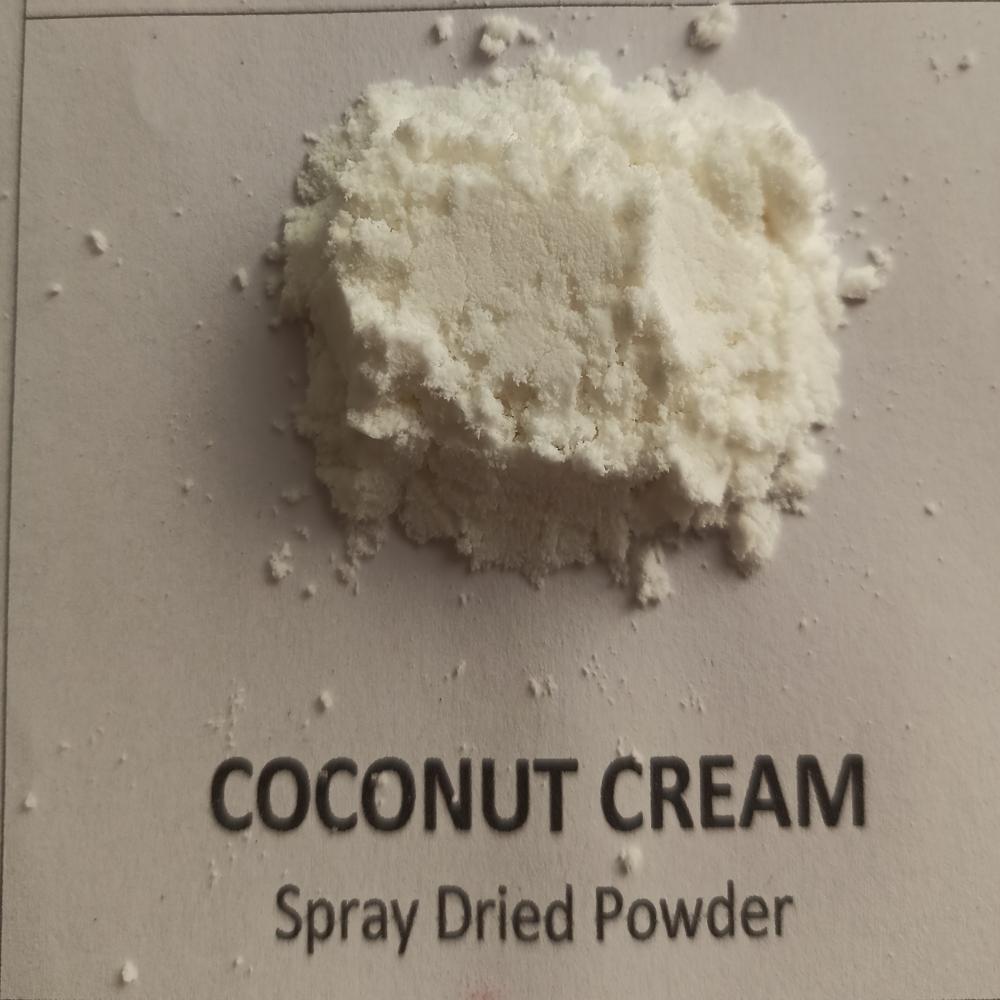 Spray Dried Coconut Milk Powder