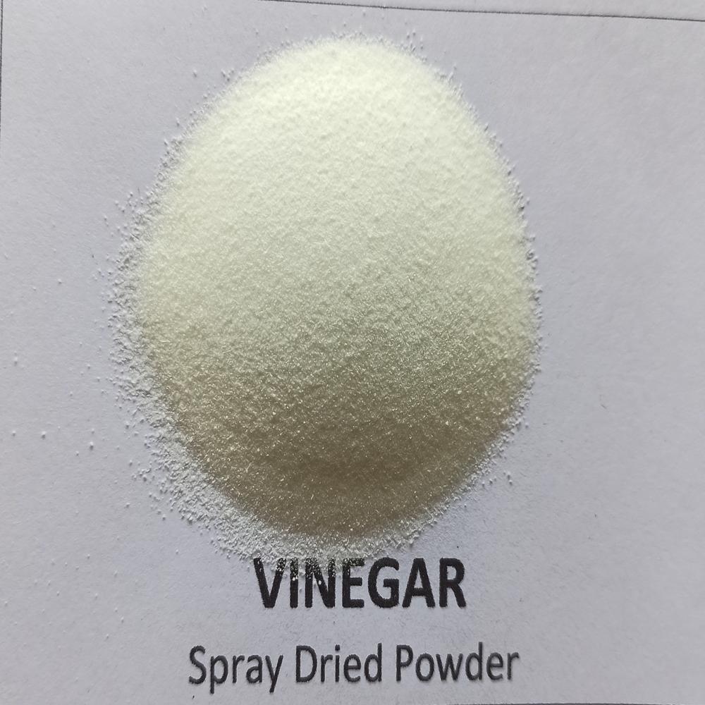 Dry Vinegar Powder - Color: White