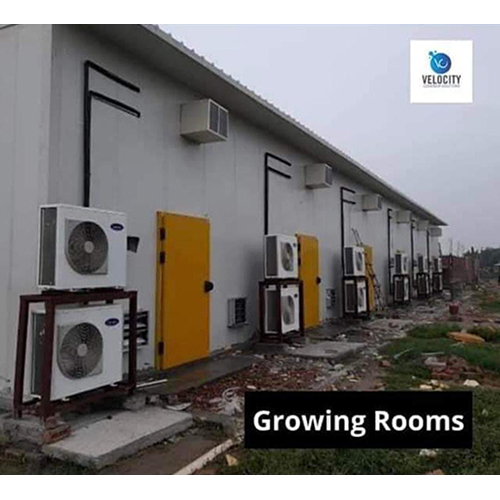 Mashroom Growing Room Installation Service