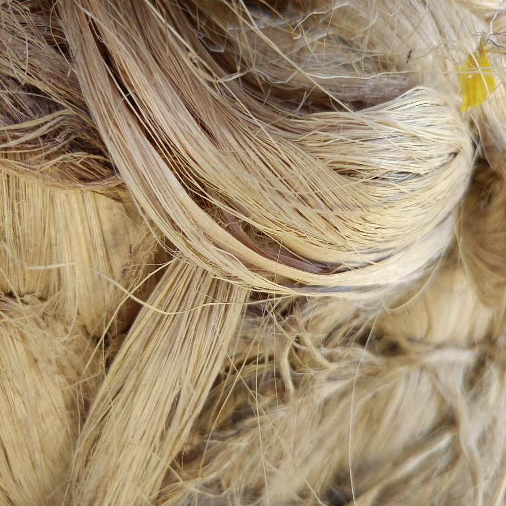 ABACA 