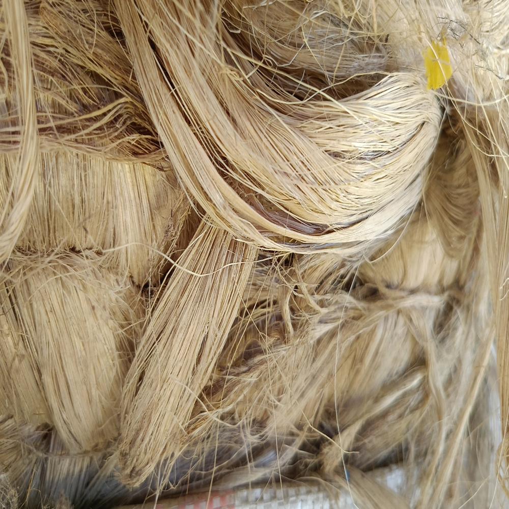 Abaca - Natural Fiber | Eco-friendly Material For Durable Mats, Carpets, And Bags, Available In Bulk And Small Quantities