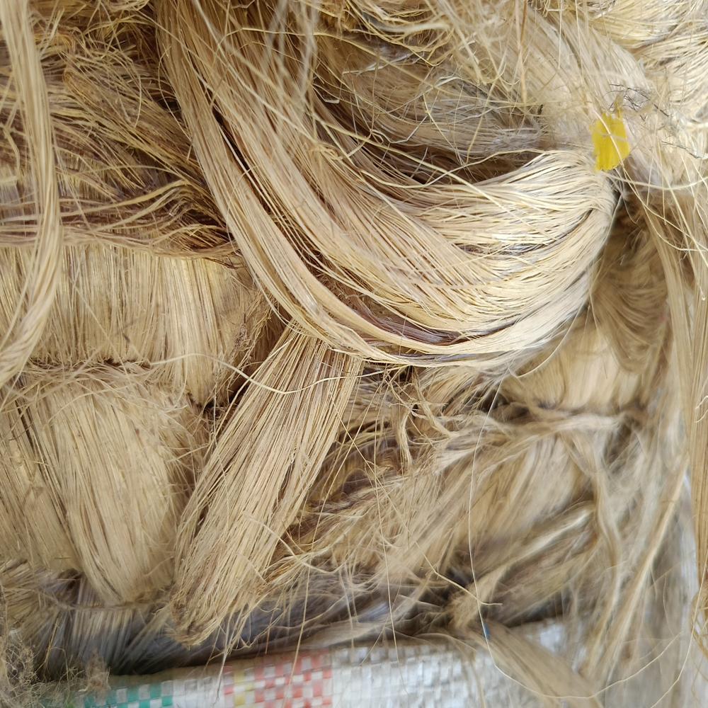 Abaca - Natural Fiber | Eco-friendly Material For Durable Mats, Carpets, And Bags, Available In Bulk And Small Quantities