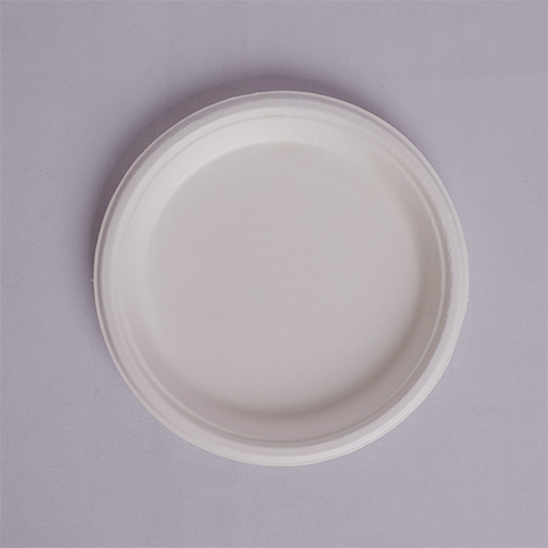 10 Inch Round Plate - Application: Food Serving (Restaurants