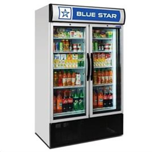 Double Door Visi Cooler