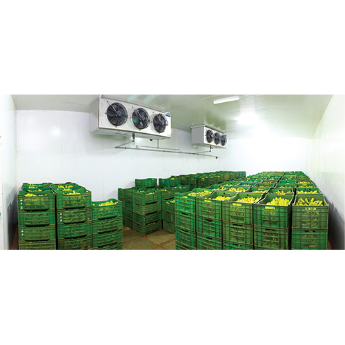 Banana Cold Room