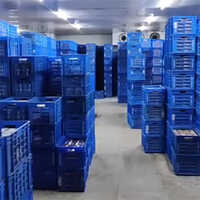Icecream Cold Storage Room