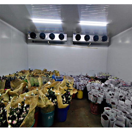 Flower Cold Room
