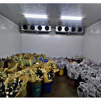 Flower Cold Room