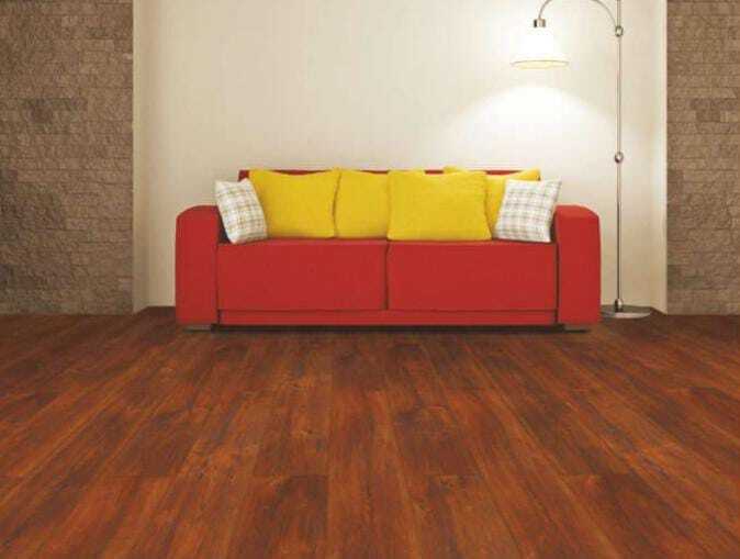 4561 Canadian Pine