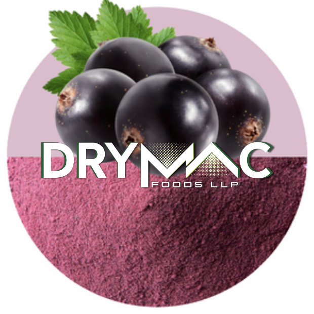 Spray Dried Black Currant Flavor Powder - Color: Pink