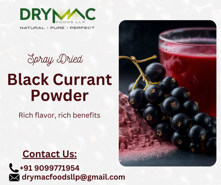 Spray Dried Black Currant Flavor Powder