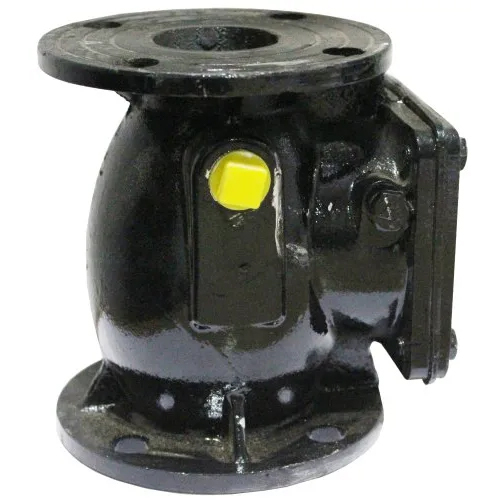 Flanged End Swing Check Valve - Color: Black