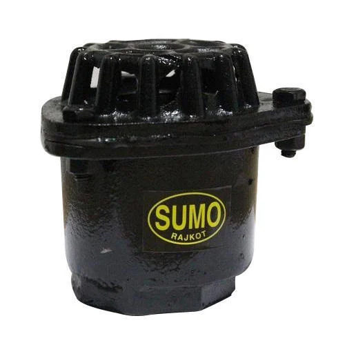 Black Cast Iron Foot Valve - Application: Industrial