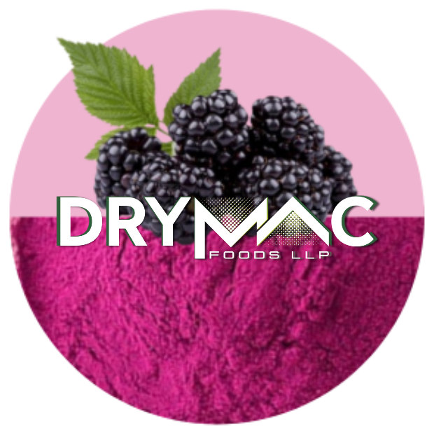 Spray Dried BlackBerry Powder