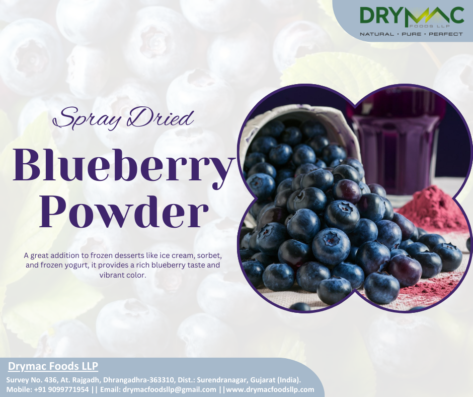 Spray Dried Blueberry Powder