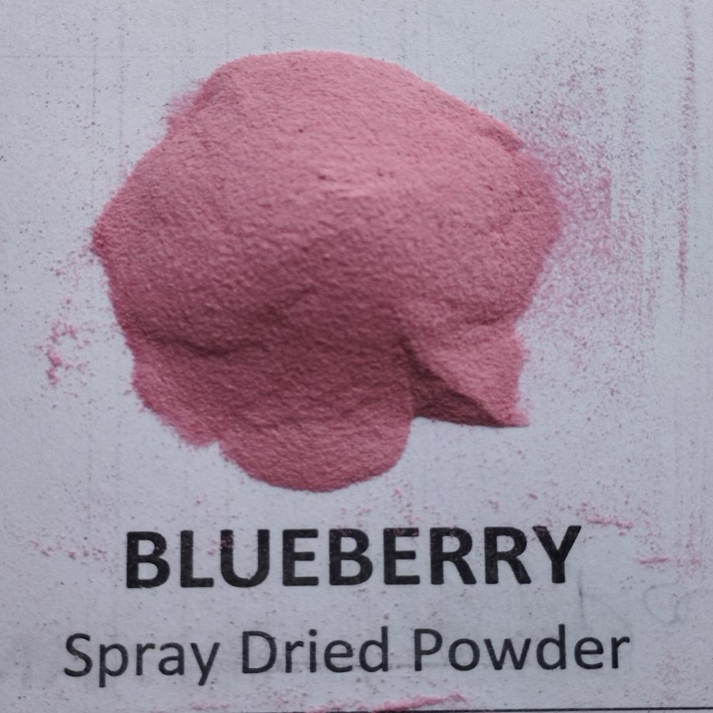 Spray Dried Blueberry Powder