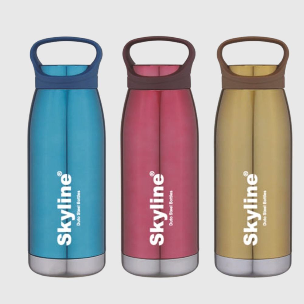 Double Wall Stainless Steel Water Bottle