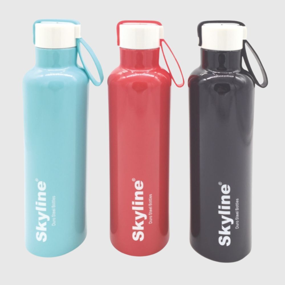 Double Wall Stainless Steel Insulated Water Bottle