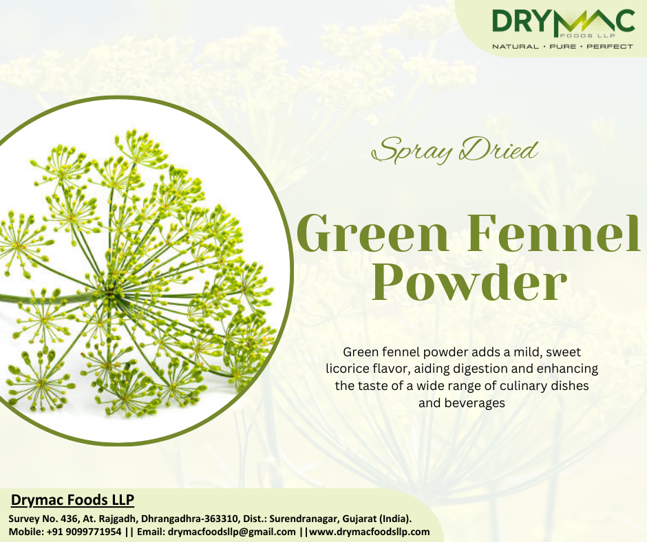 Spray Dried Green Fennel Flavor Powder