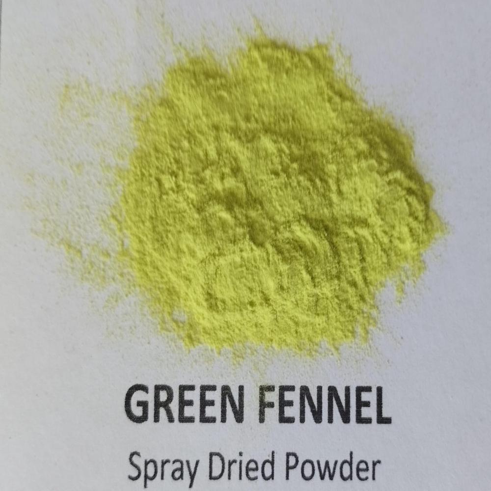 Spray Dried Green Fennel Flavor Powder