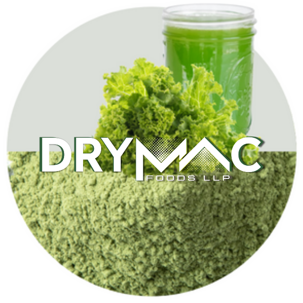 Spray Dried Lettuce Powder - Color: Green