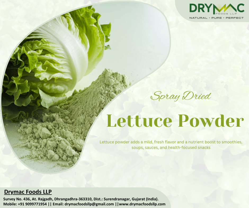 Spray Dried Lettuce Powder - Color: Green