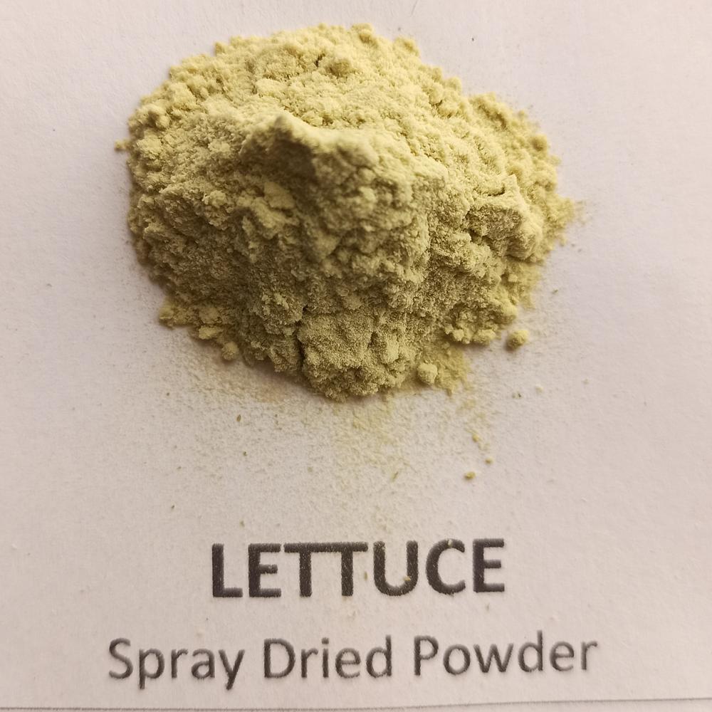 Spray Dried Lettuce Powder - Color: Green