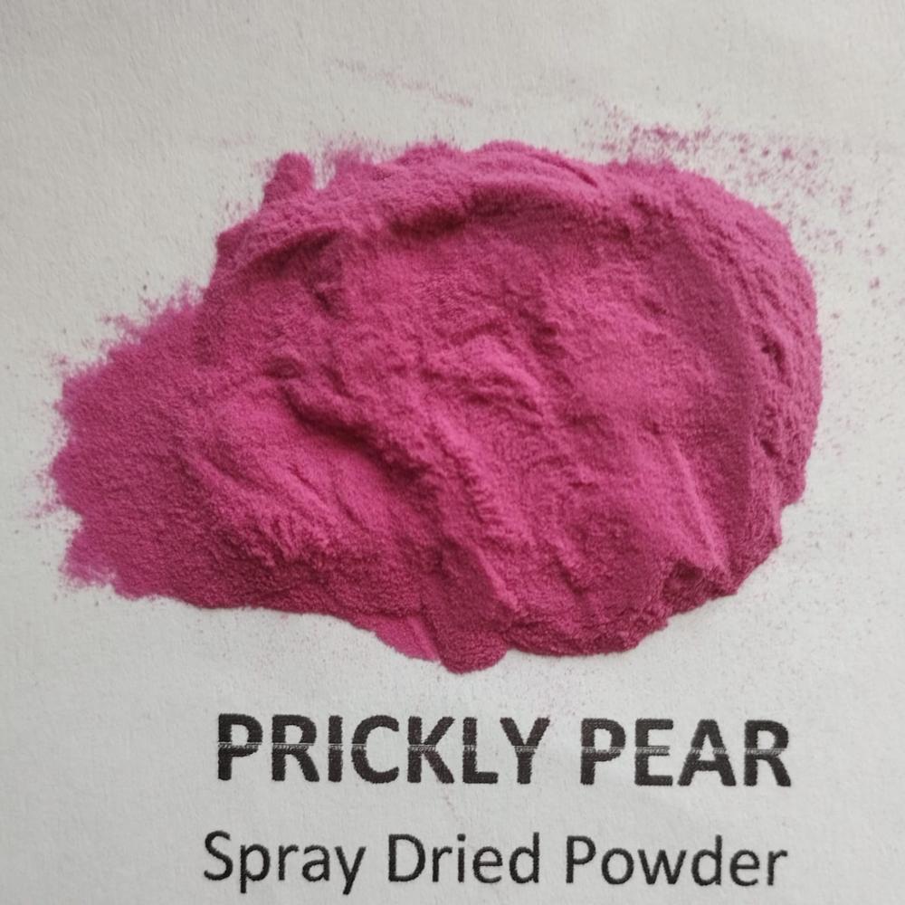 Spray Dried Prickly Pear Powder