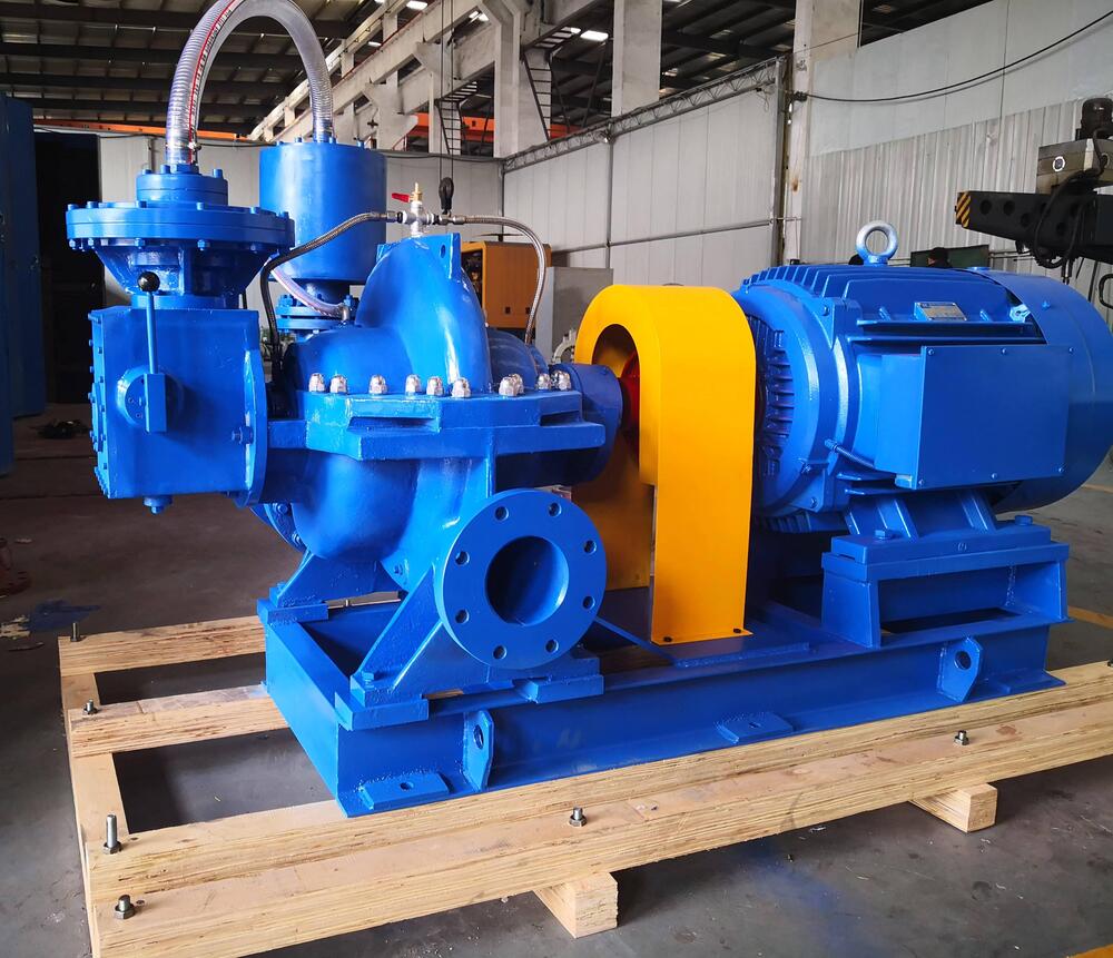 Double Suction Pump