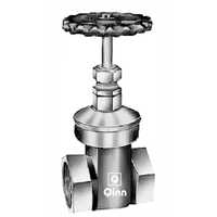 Q 51 Gun Metal Gate Valve Isi Marked - Application: Water