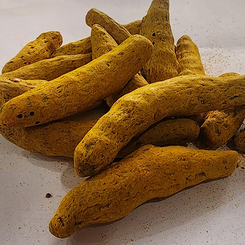 Turmeric Finger - Color: Yellow