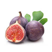 Fresh Anjeer - Non-peeled, Non-glutinous, Sweet Taste | 7-15 Days Shelf Life, Common Cultivation Methods