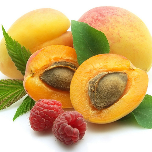 Fresh Apricot - Cultivation Type: Common