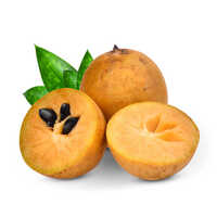 Fresh Chickoo - Cultivation Type: Common