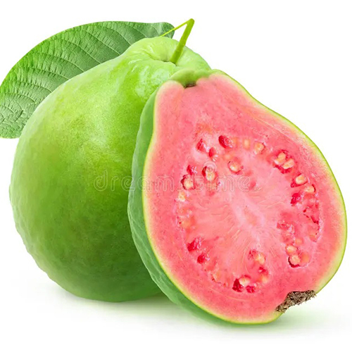 Fresh Guava - Cultivation Type: Common