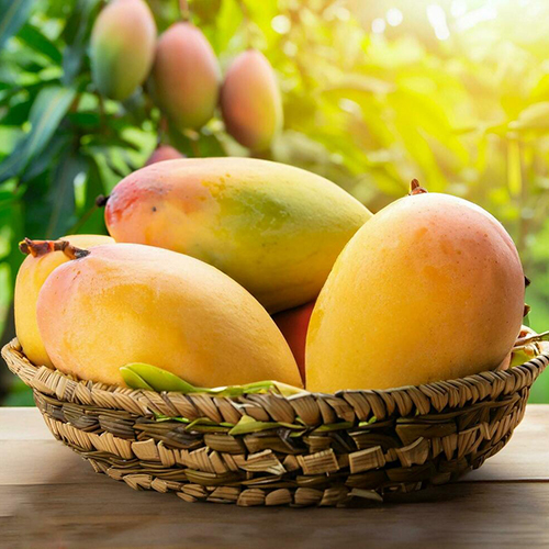 Fresh Mango