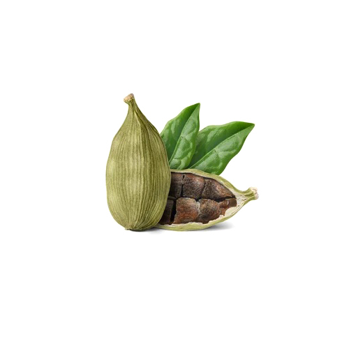 Big Cardamom