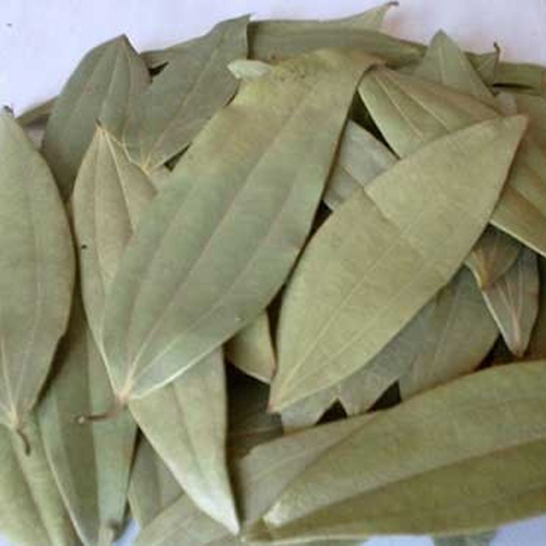 Indian Bay Leaf - Grade: Food Grade