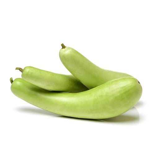 Organic Bottle Gourd