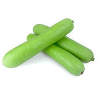 Organic Bottle Gourd