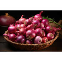 Organic Red Onion - Moisture (%): 5% - 10%