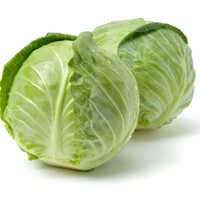 Natural Cabbage - Moisture (%): 5% - 10%