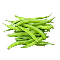 Cluster Beans - Moisture (%): 5% - 10%